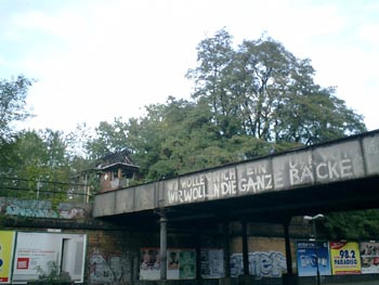e0038811_6133023.jpg
