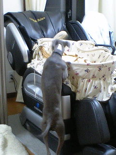c0003217_2357410.jpg