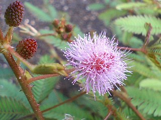 e0026017_16114346.jpg