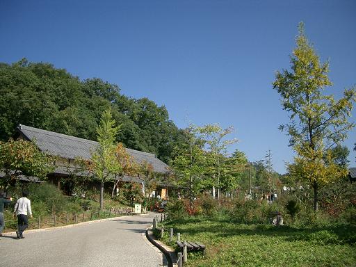 c0005619_2112659.jpg