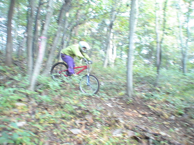 f0028123_1722487.jpg