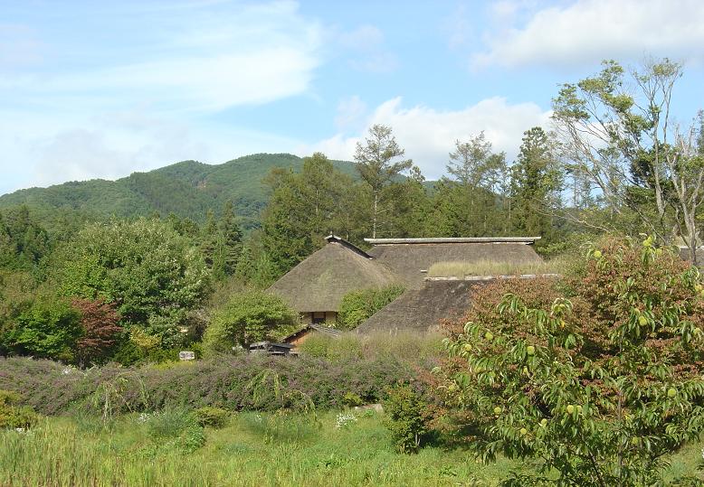 d0088735_20114640.jpg