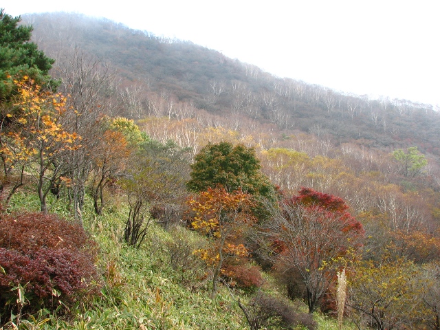 b0097836_22465258.jpg