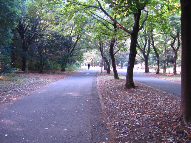 b0088037_014346.jpg
