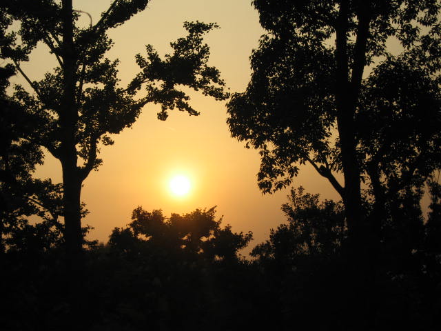 b0088037_02988.jpg