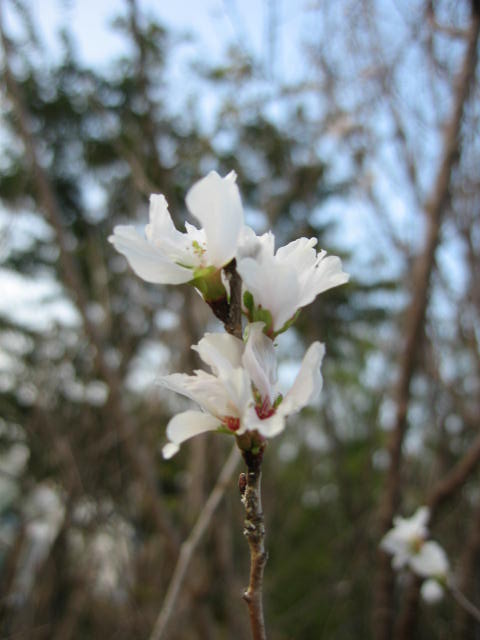 b0088037_043371.jpg
