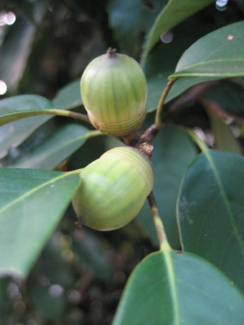 b0088037_05770.jpg