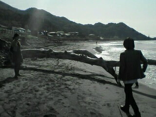 e0101537_226356.jpg