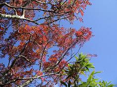 c0091038_1191763.jpg