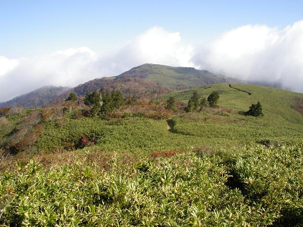 c0091038_1361635.jpg