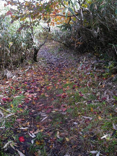 c0091038_161642.jpg