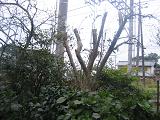 b0024439_9492245.jpg