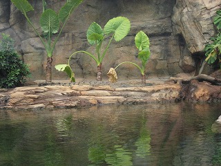 c0008439_2214554.jpg