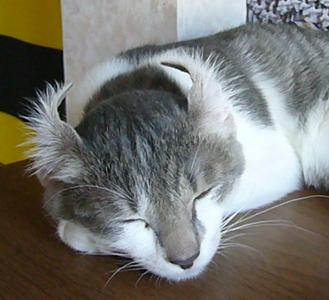 f0002743_10161016.jpg