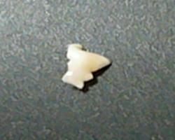 f0002743_1091436.jpg