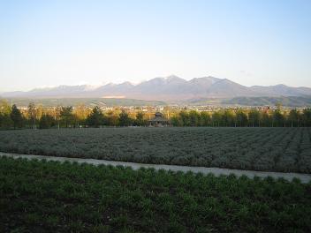 f0107145_0233042.jpg
