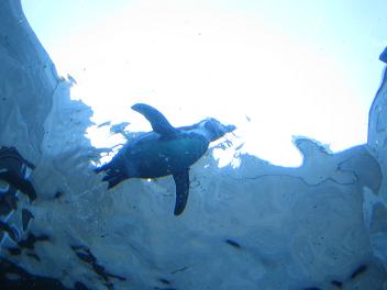 f0107145_043517.jpg