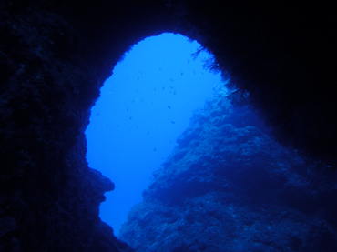 d0065247_21344692.jpg