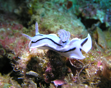 d0065247_21354564.jpg