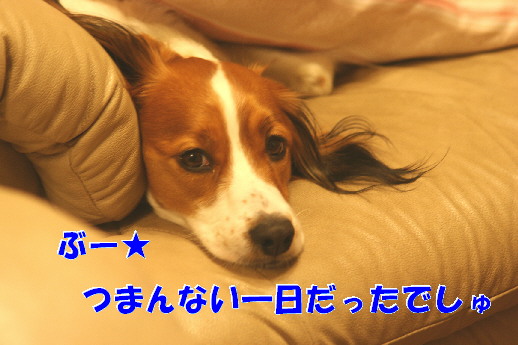 d0013149_21235111.jpg