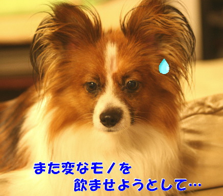 d0013149_21501213.jpg