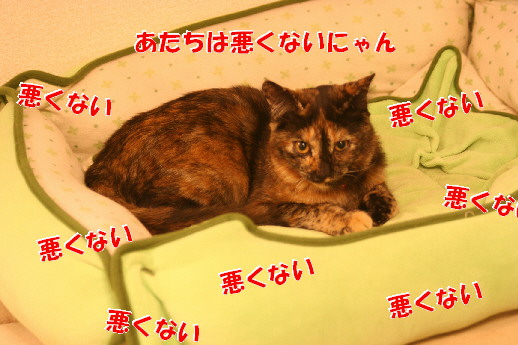 d0013149_2215491.jpg
