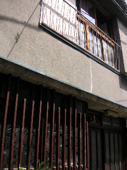 a0003150_965463.jpg