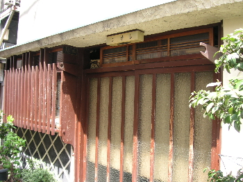 a0003150_971364.jpg
