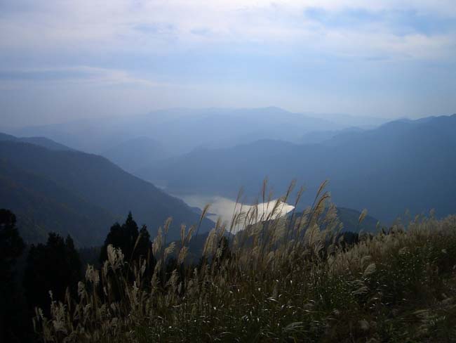 e0002850_2235452.jpg