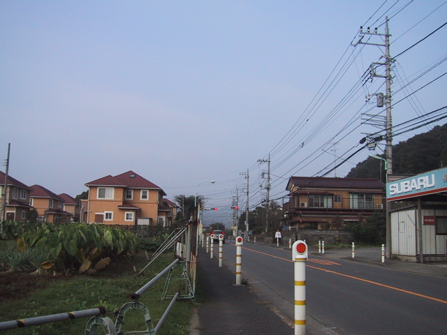 f0046250_1654161.jpg