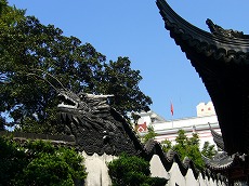 f0056250_23405988.jpg