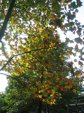 d0084758_23275569.jpg