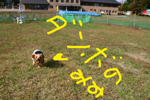 f0067361_7274048.jpg
