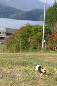 f0067361_7373786.jpg