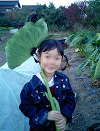 f0027762_22405581.jpg