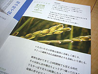 c0027965_23294196.jpg