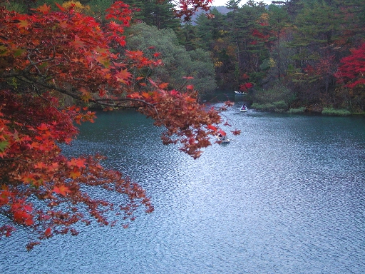a0042970_1564767.jpg