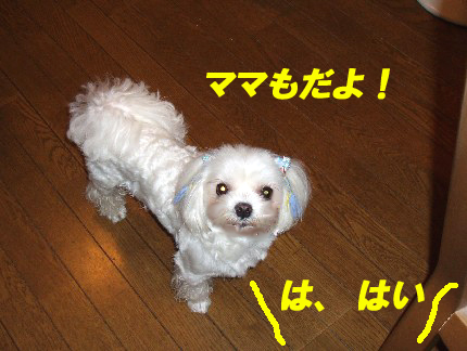 b0060071_233457100.jpg