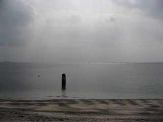d0045179_2226999.jpg