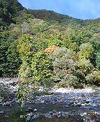 c0066080_23153168.jpg