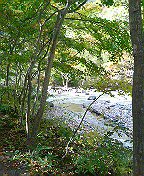 c0066080_2316097.jpg
