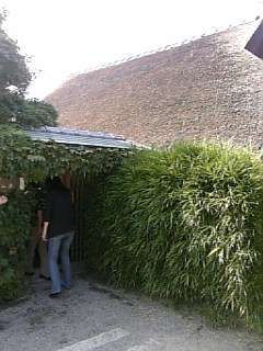 b0045281_10251163.jpg