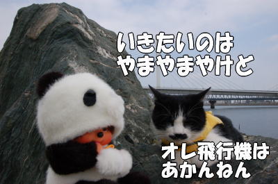 b0041182_23161182.jpg