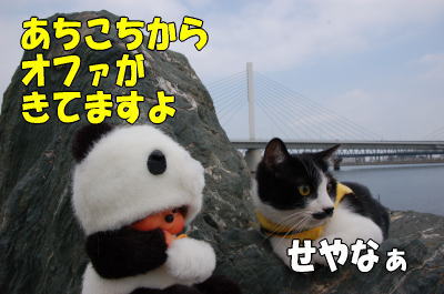 b0041182_2316230.jpg