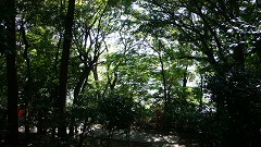 b0042882_1851341.jpg