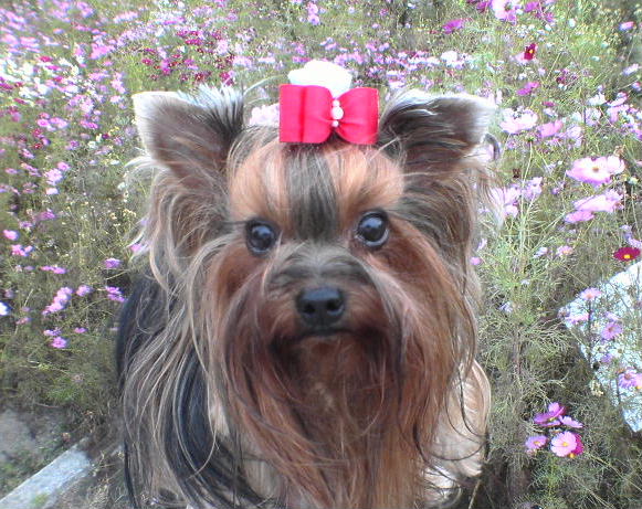 c0031582_21433479.jpg