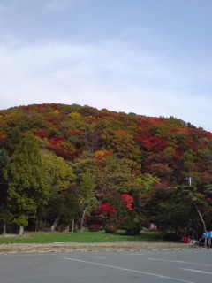c0068882_1049521.jpg