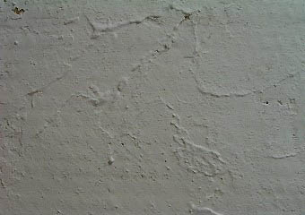 b0097101_8225528.jpg