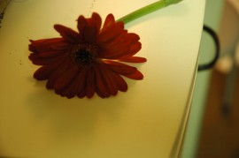 f0000211_1695728.jpg