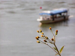 e0097615_1044719.jpg